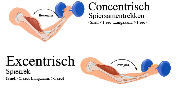 excentrisch