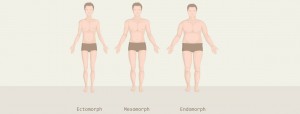 Feit of fabel: 3 lichaamstypen (ecto-, meso- en endomorf)