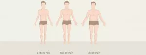 Feit of fabel: 3 lichaamstypen (ecto-, meso- en endomorf)