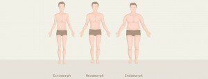 Feit of fabel: 3 lichaamstypen (ecto-, meso- en endomorf)