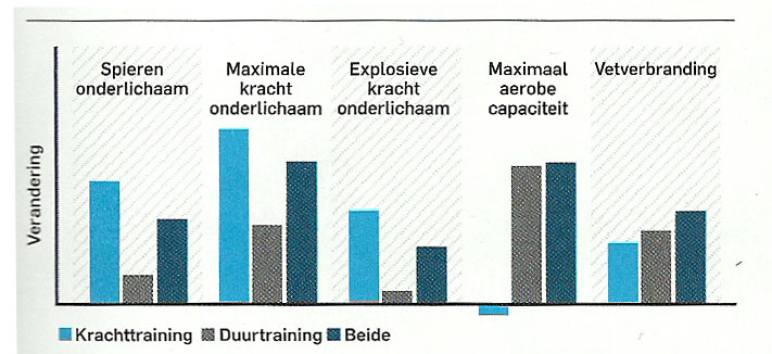 krachttraining vetverbranding schema