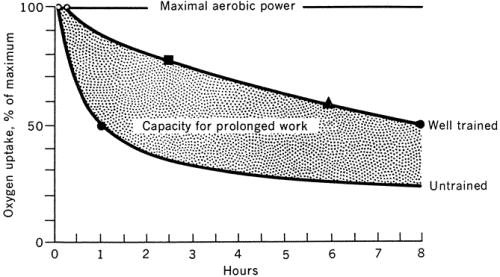 LT trained vs untrained