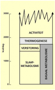 energieverbruik