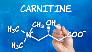 Wat is het effect van Carnitine?