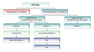 verzadigde-vetten