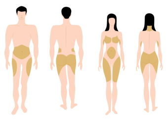 vetverdeling-lichaam bmi