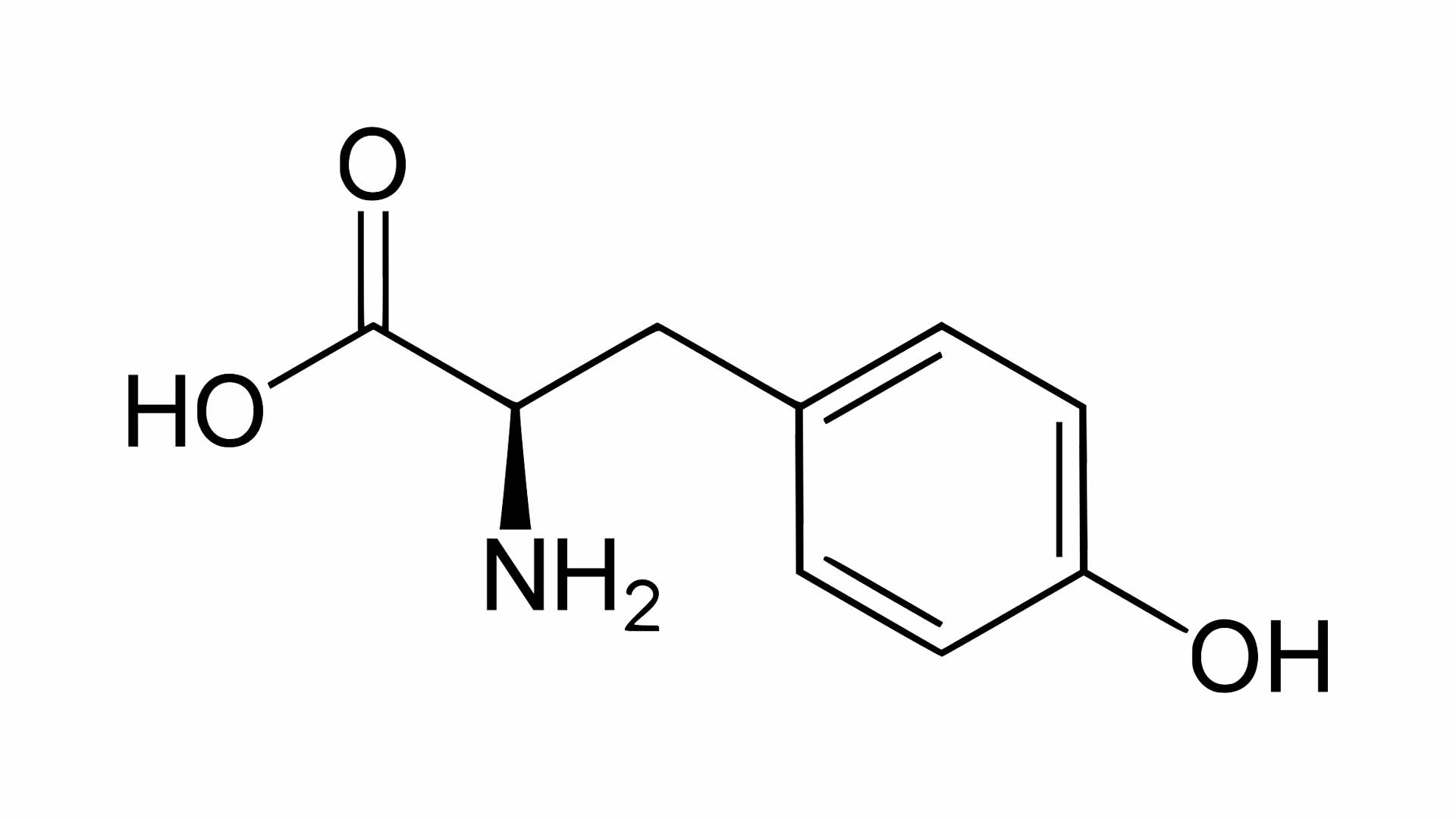 serine aminozuur serine aminozuur