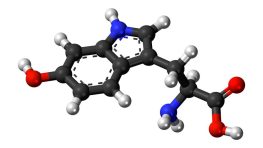 5-HTP