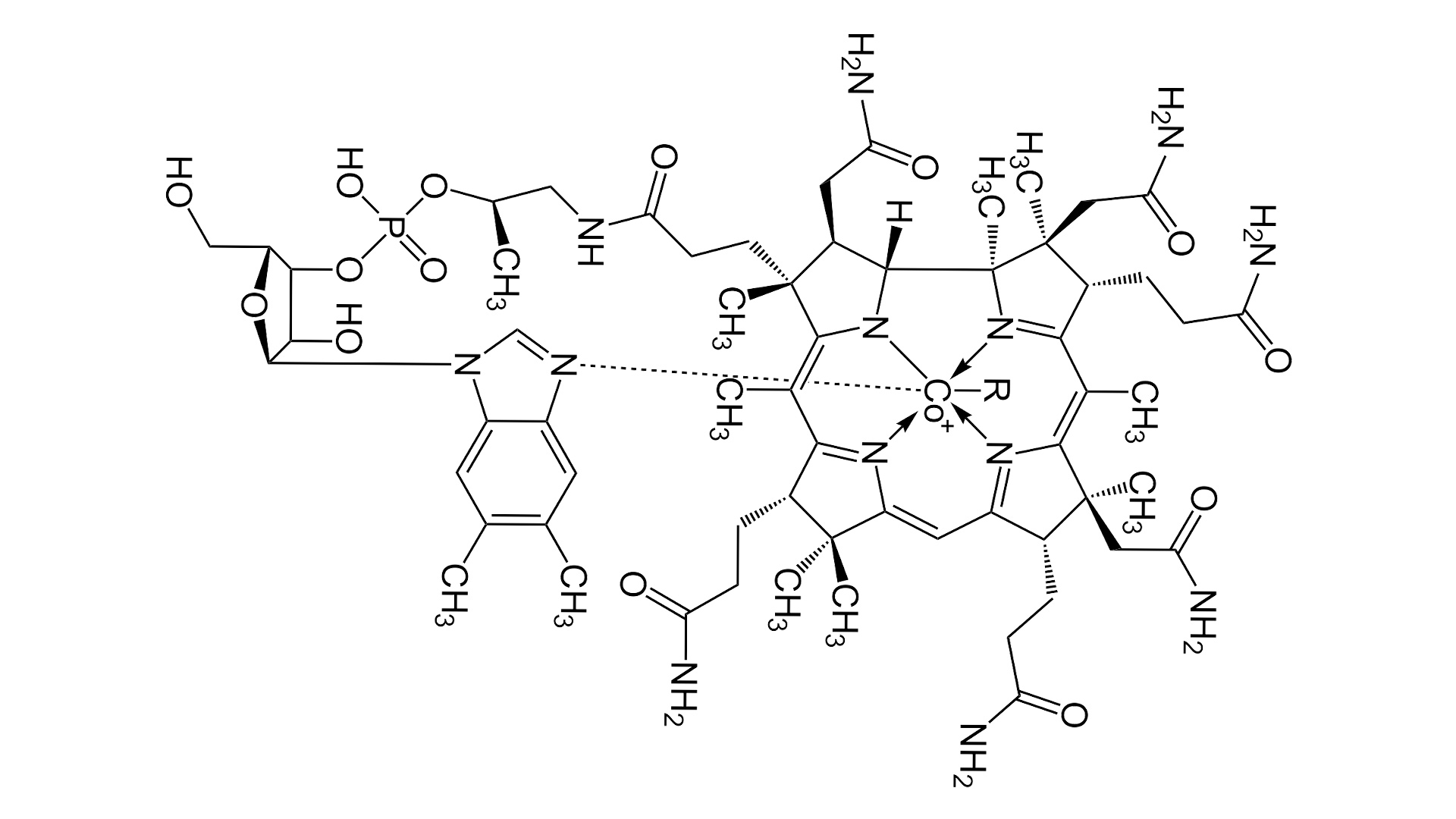 Vitamine B12