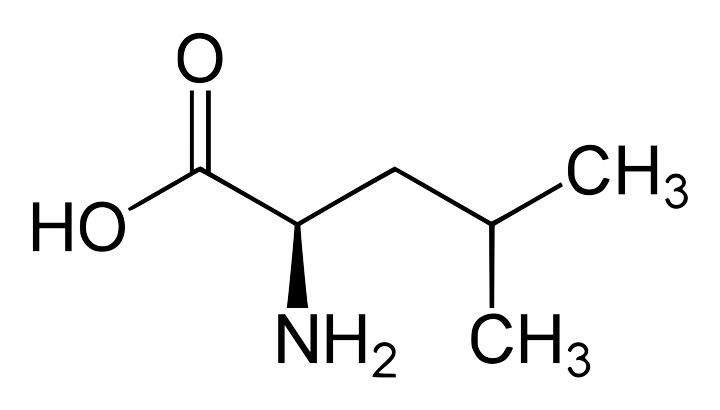 leucine-formule