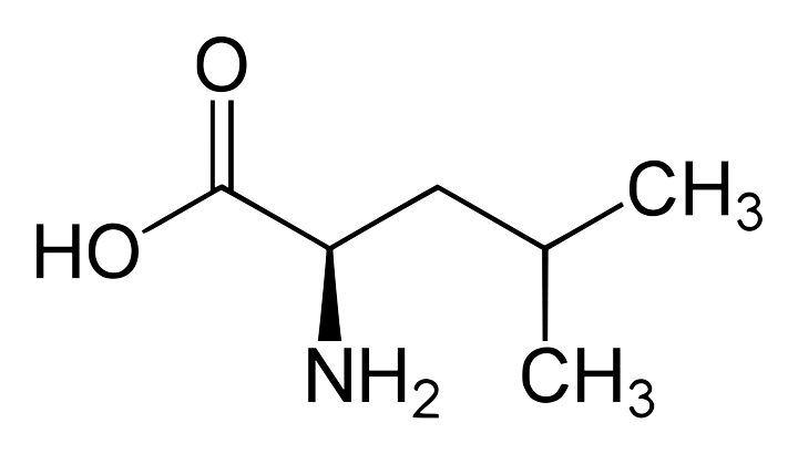leucine-formule