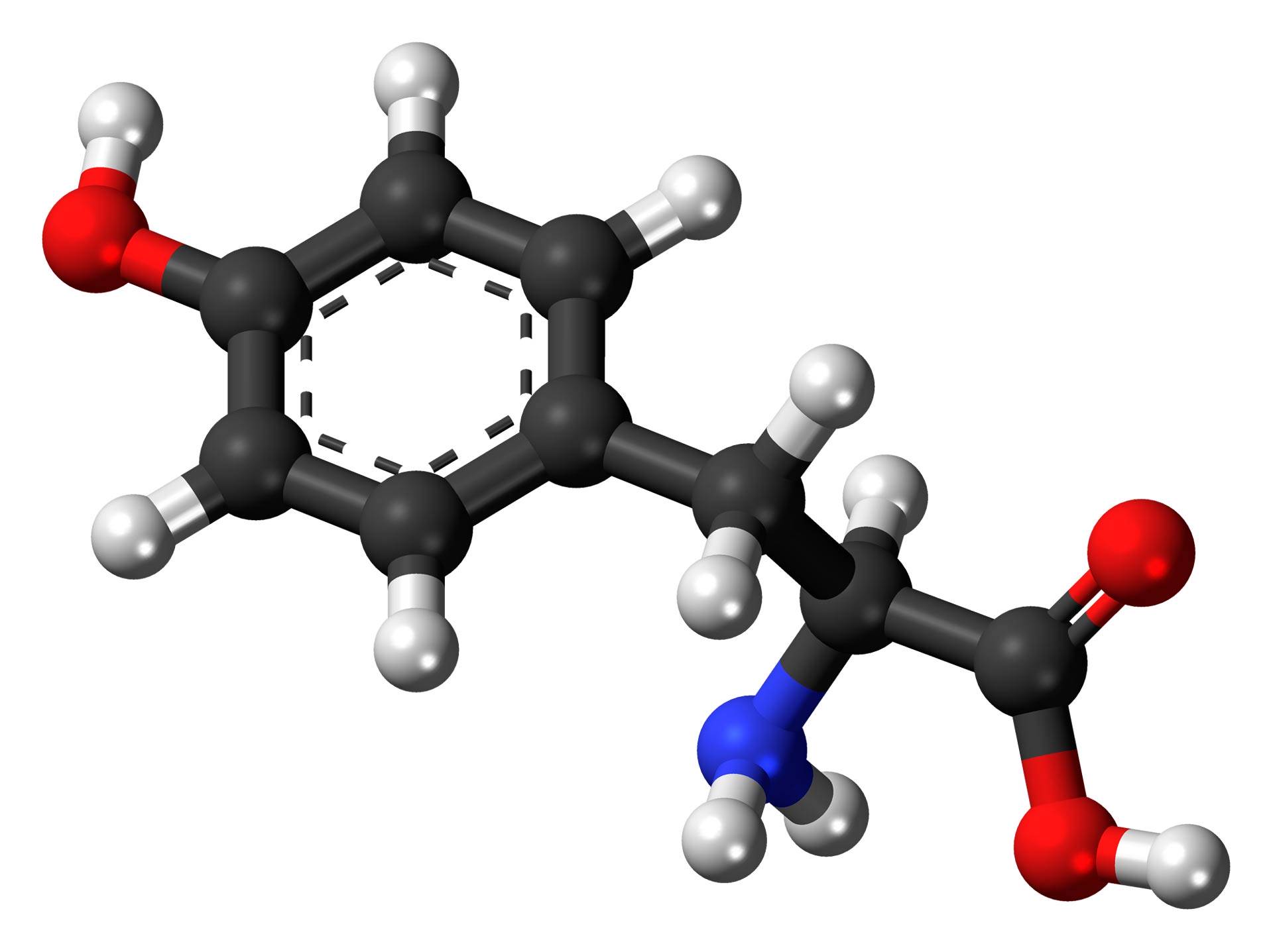 tyrosine