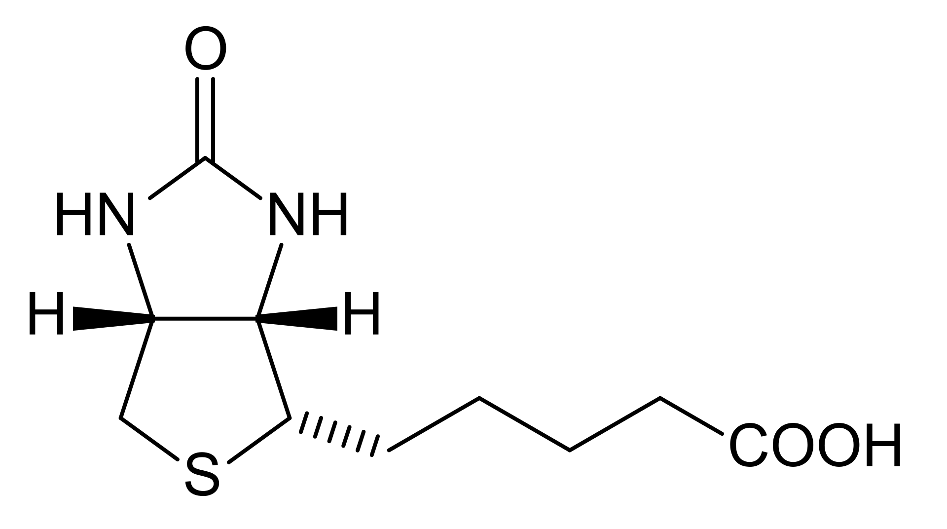 Biotine (vitamine B8)