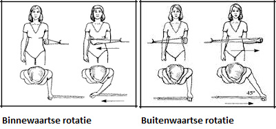 briefpapier Werkwijze metaal Wat te doen bij een schouderblessure? - FIT.nl