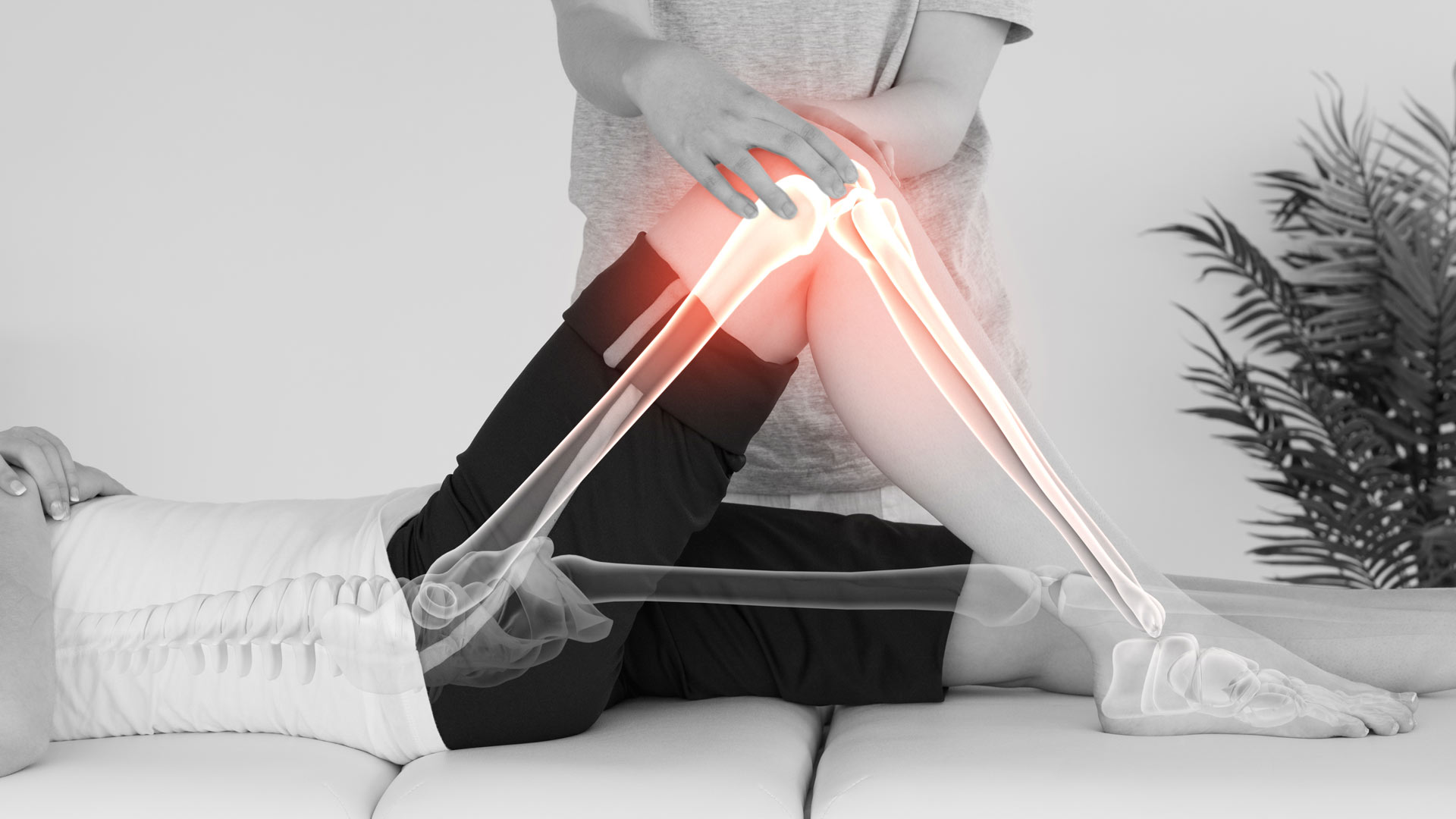 glucosamine-werking