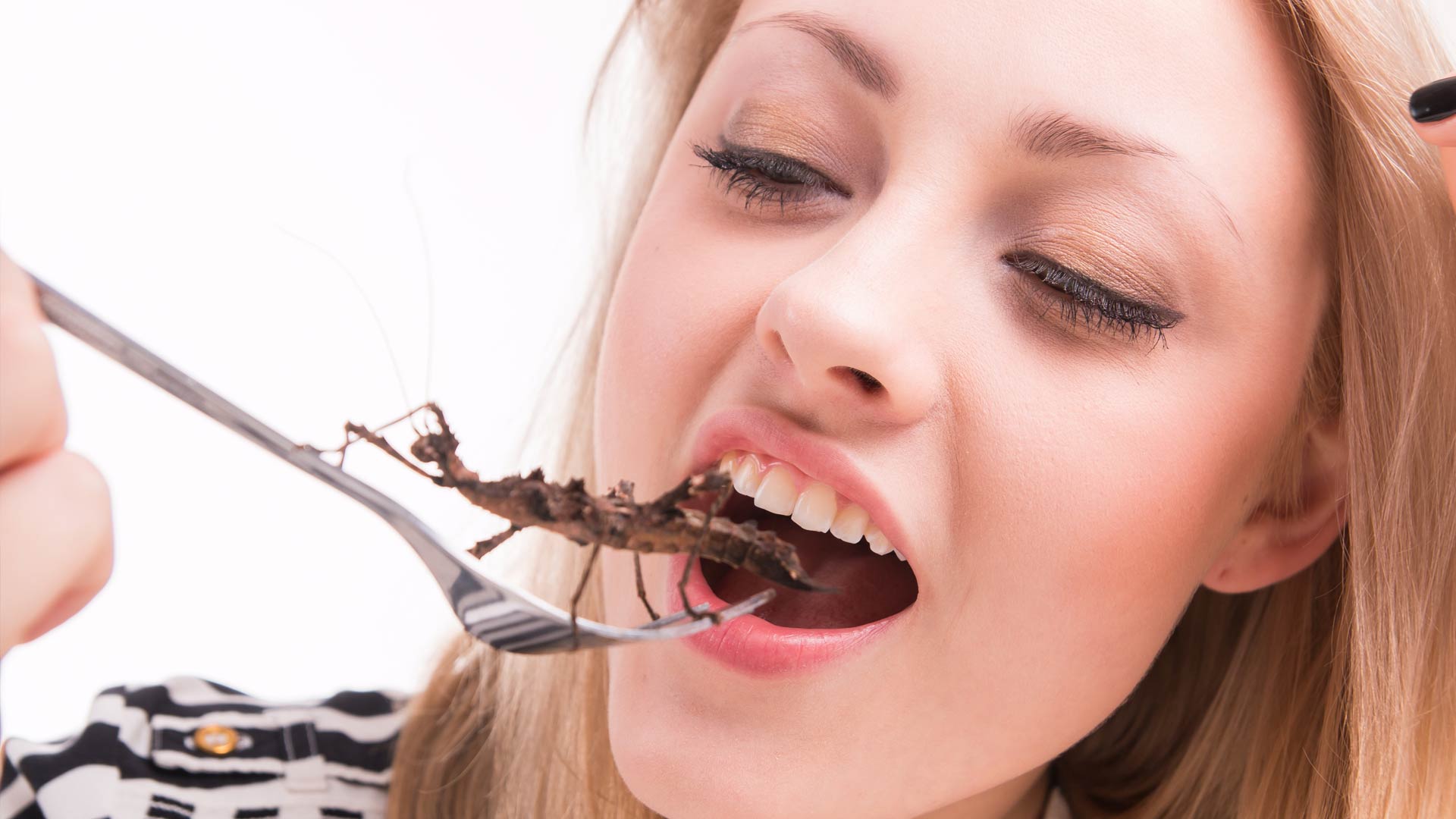 Schadelijk hoek Nieuwe aankomst Is het eten van insecten gezond? - FIT.nl