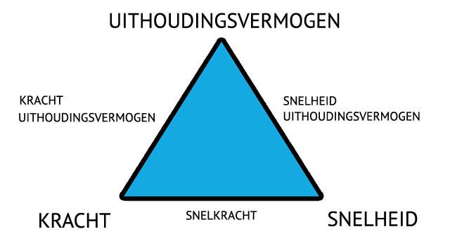 Hypertrofie: Lees hier hoe spiergroei precies werkt! | FIT.nl Hypertrofie: Lees Hier Hoe Spiergroei Precies Werkt! | Fit.Nl