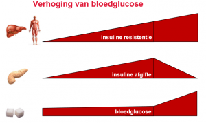 bloedsuiker type 2