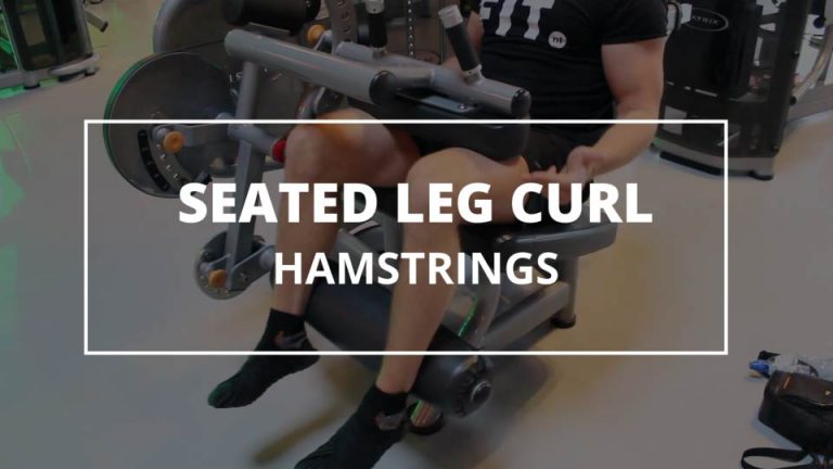 Seated Leg Curl