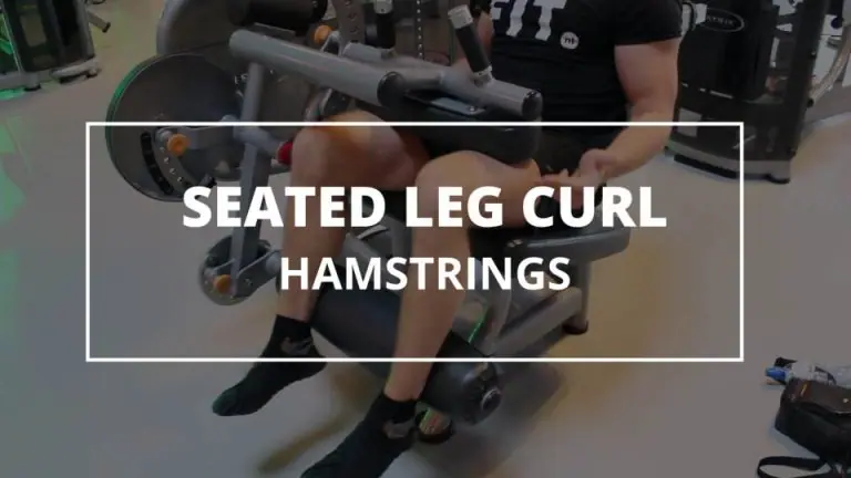 Seated Leg Curl