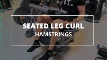 seated-leg-curl