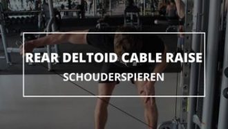 rear-deltoid-cable-raise