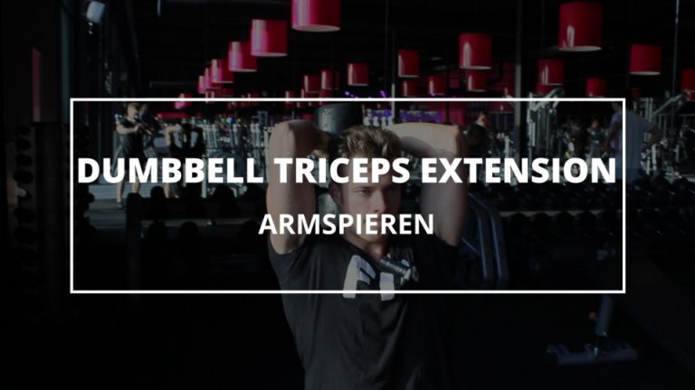 Seated Dumbbell Triceps Extension