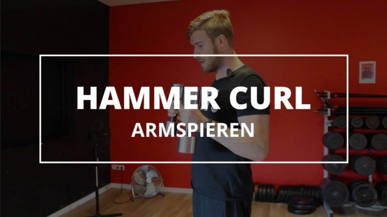 Hammer Curl