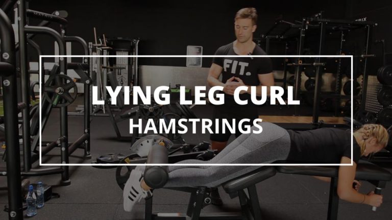Lying Leg Curl