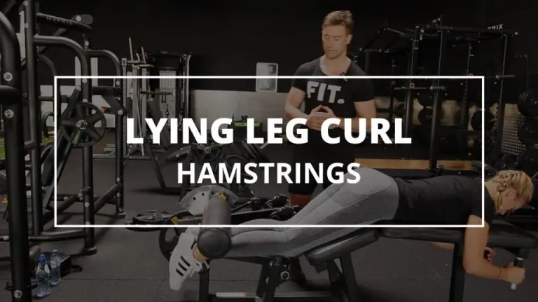 Lying Leg Curl