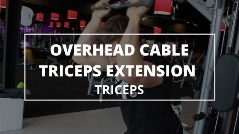 Overhead Cable Triceps Extension