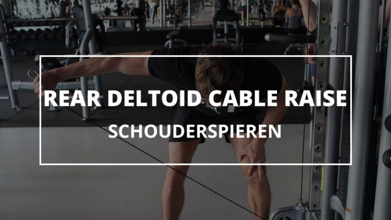 Rear Deltoid Cable Raise