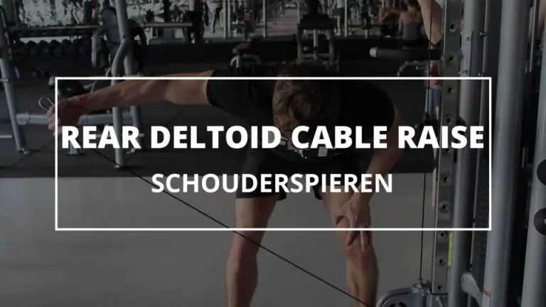 Rear Deltoid Cable Raise
