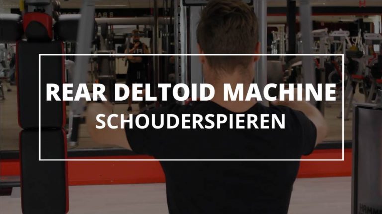 Rear Deltoid Machine