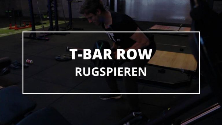 T-Bar Row
