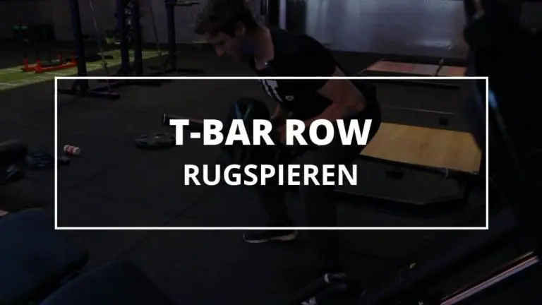 T-Bar Row