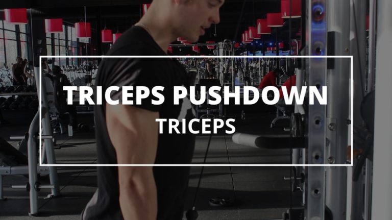 Triceps Pushdown