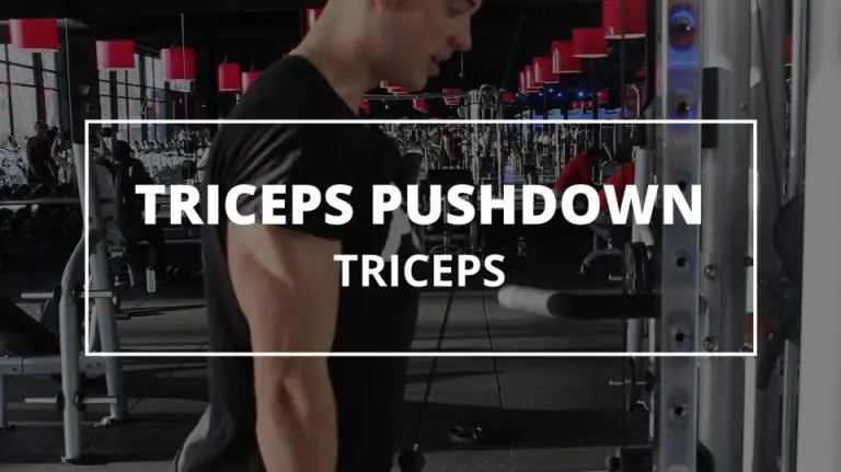 Triceps Pushdown