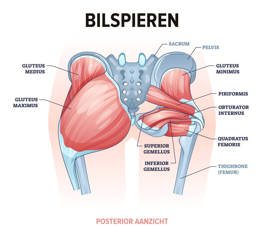 bilspieren