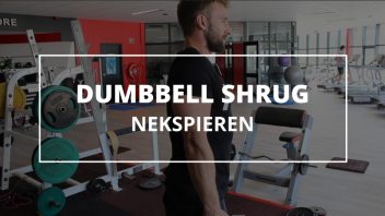 dumbbell-shrug