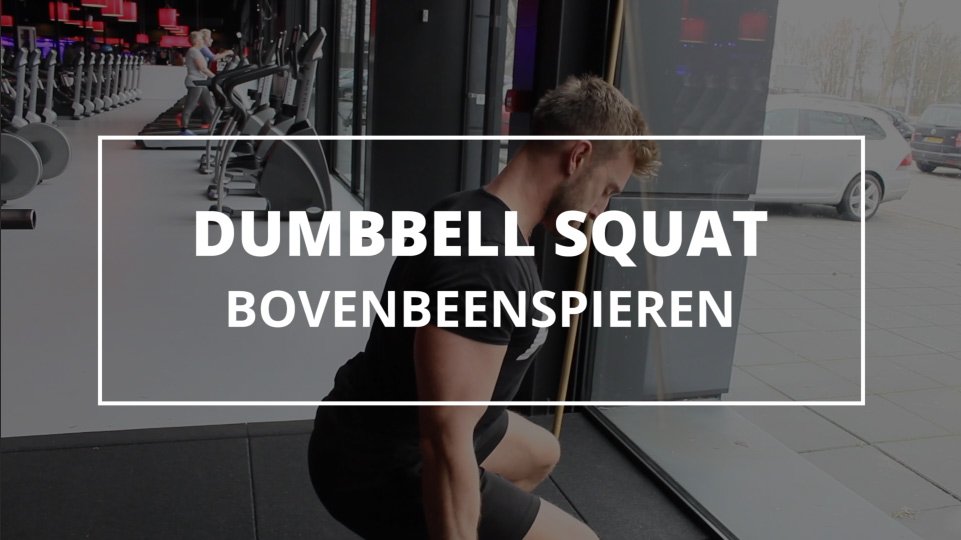 dumbbell-squat