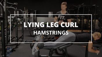 lying-leg-curl