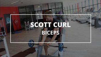 scott-curl