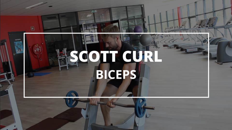 scott-curl