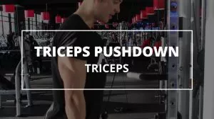 triceps-pushdown