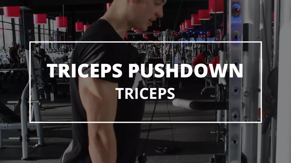 triceps-pushdown