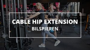 cable-hip-extension