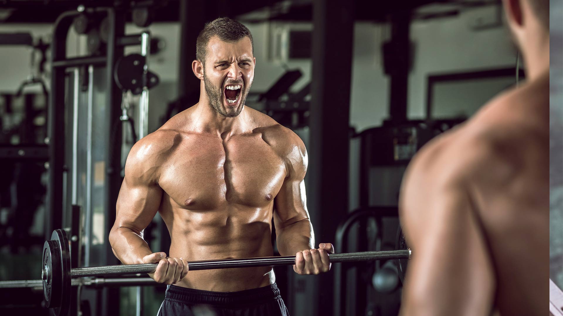 creatine-timing