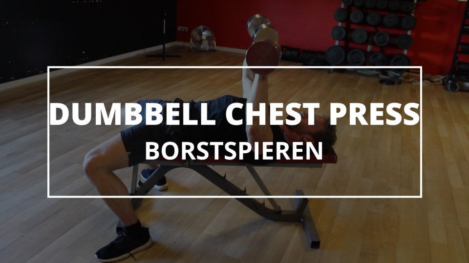 Dumbbell-chest-press