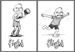 fight or flight